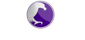 Iolaire Financial Logo